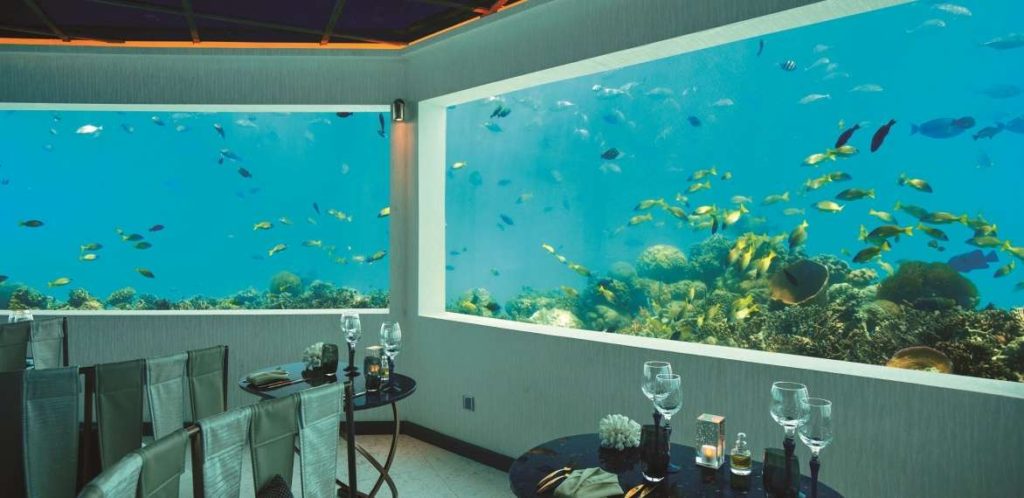 Minus six -Maldives udnerwater-restaurant
