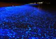 Maldives glowing beach luminescent