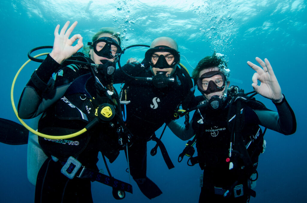 Embudhu Kandu diving tours from Maafushi