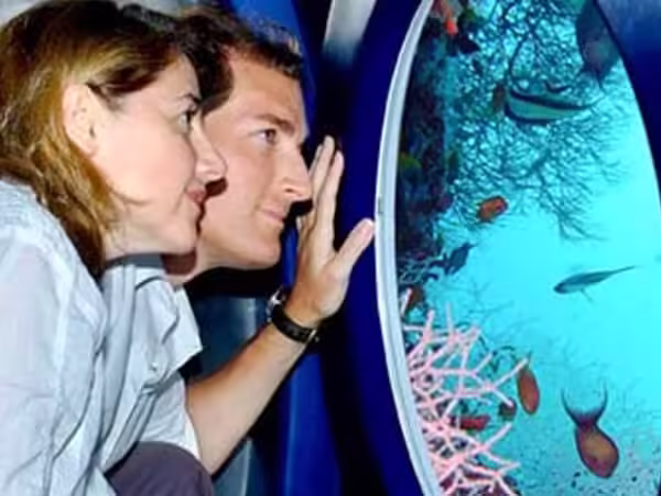 Whale Submarine Tours from Maafushi